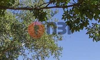 Imagem 6: MIRASSOL - Residential / Land Lot - JARDIM DO CEDRO