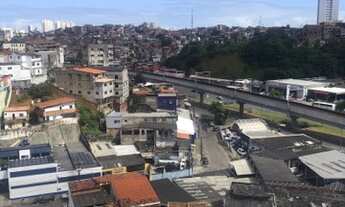 Imagem 6: Aluga-se uma casa em brotas