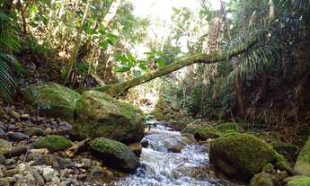 Imagem: Terreno em Lumiar 10mil mts² com Escritura