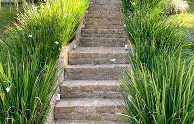 Imagem 6: Chácara - Caixa D´Água - Vinhedo