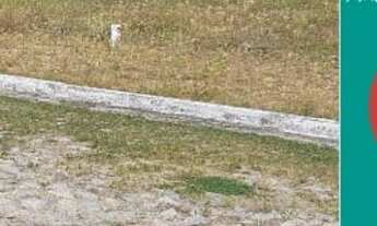 Imagem 3: Saia do aluguel pagando 218 reais mensal. Loteamento Vista da Serra em Pacatuba