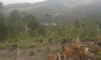 Imagem 6: Troco meu terreno Combat,strada