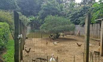 Imagem 4: Chácara a venda em Astolfo Dutra