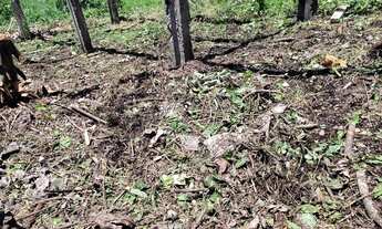 Imagem 3: Terreno Terreno / lote com venda por R$25.000