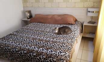 Imagem 7: Apartamento em Floresta