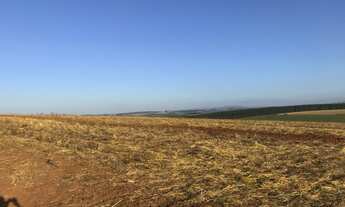 Imagem 7: Lavoura de soja Fazenda / sítio com venda por R$12.900.000