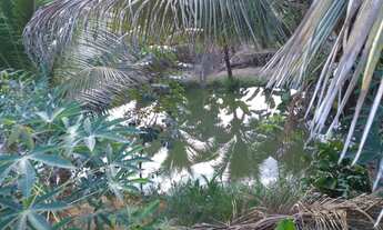 Imagem 3: Vede se uma chácara 2700 metros 220 mil