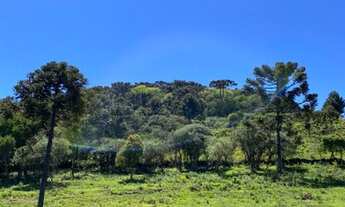 Imagem 5: SÍTIO - FAZENDA - À VENDA EM URUBICI