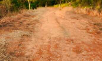 Imagem 2: Vendo ótimo terreno