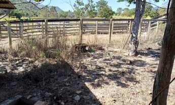 Imagem: Fazenda em faina
