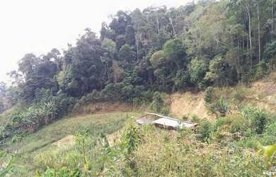 Imagem 5: Chácara à venda, 73.000 m² - Ilha Berger / Cachoeira do Pastor - Santa Maria de Jetibá/ES