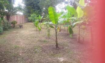 Imagem 2: Terreno em aldeia km 12