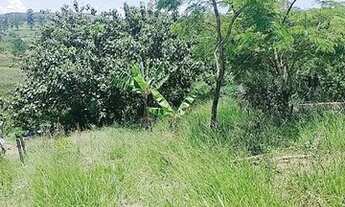 Imagem 5: Guararema - Terreno Padrão - Nogueira