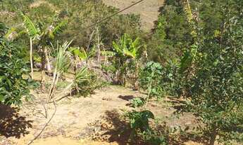 Imagem 2: Vende ser um sítio telefone