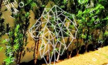 Imagem 5: Excelente casa de condomínio para venda tem 400 metros quadrados com 5 quartos