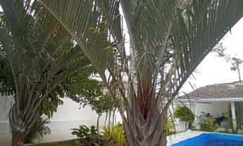 Imagem 2: Alugo Fixo - cond pássaros