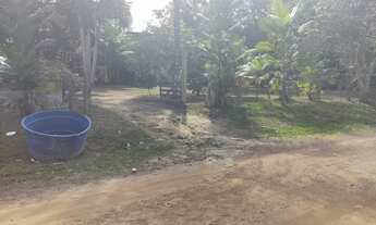 Imagem 5: Fazenda/Sítio/Chácara para venda tem 100000 metros quadrados