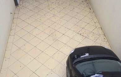 Imagem 13: Sobrado residencial à venda, Ipiranga, São Paulo