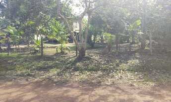 Imagem 7: Fazenda/Sítio/Chácara para venda tem 100000 metros quadrados