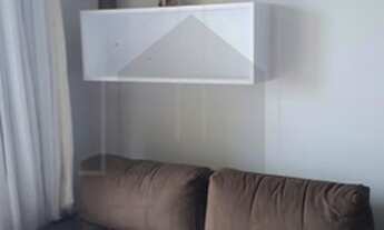 Imagem 7: Apartamento - Parque Brasília - Campinas