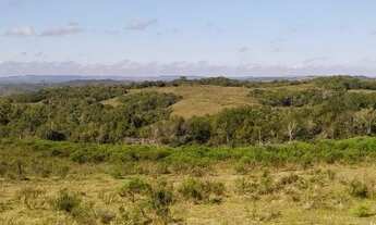 Imagem: EMICREI VENDE 900 hectares em Palma para