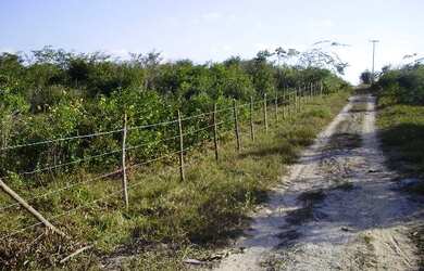 Imagem 3: Terrenos em Pium, próximos a Praia de Cotovelo !