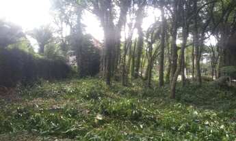 Imagem 4: Gramado - Terreno Padrão - Mato Queimado