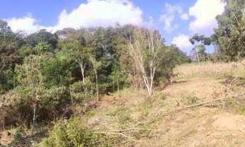 Imagem 3: 2 alqueires- São João da Mata