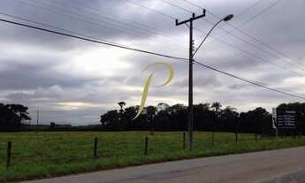 Imagem 2: JOINVILLE - Terreno Padrão - Pirabeiraba