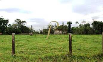 Imagem 3: JOINVILLE - Terreno Padrão - Pirabeiraba