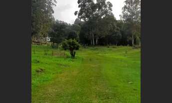 Imagem 3: Vende se chácara