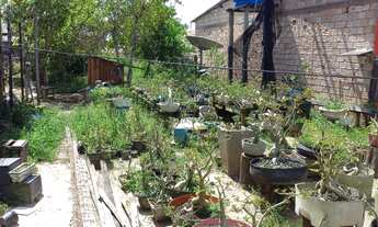 Imagem 2: Vendo terreno Terreno / lote com venda por R$35.000