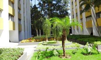 Imagem: R. Cayowaa. 120 m²