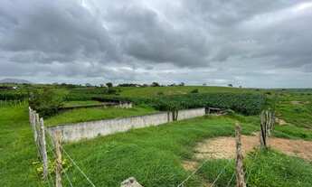 Imagem 6: Propriedade em Macambira (SE