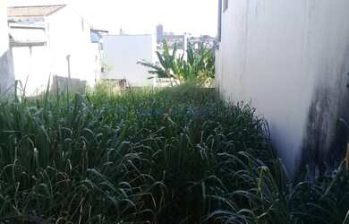 Imagem 4: Terreno - Jardim Paraíso - Campinas