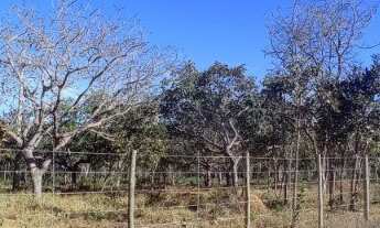 Imagem 2: Oportunidade, vendo um terreno de 1000 (mil metros quadrado