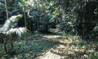 Imagem 4: Terreno comercial & Industrial