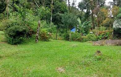 Imagem 6: Chácara 8 mil metros Campina grande do sul