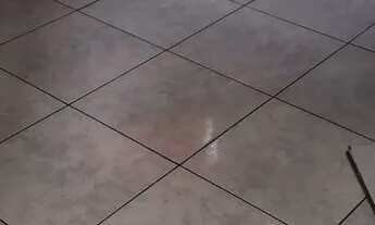 Imagem 7: Casa pra alugar Casa com 2 dormitórios