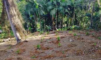 Imagem 6: Chácara a venda no Bairro Piúva,Juquià SP