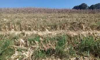 Imagem 2: Ag7- vendo lote de 1000m2 em atibaia bairro usina / parcelo