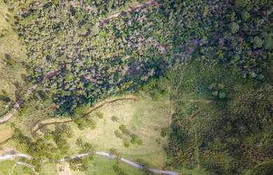 Imagem 5: MORRO DA IGREJA - Terreno escriturado com 2,0 hectares pronto para construir - URUBICI - S