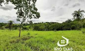 Imagem 7: Fazenda / Sítios / Chácaras à venda em Baldim