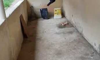 Imagem 7: Vende se Casa com 1 dormitório