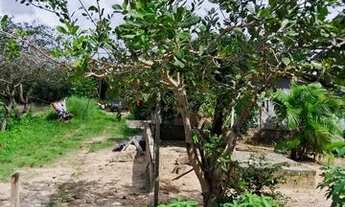 Imagem 6: Vendo casa no Porto de Mocagituba