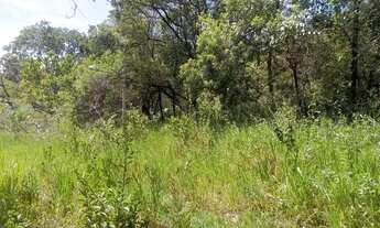 Imagem 2: Terreno de 6000 metros com lagoa