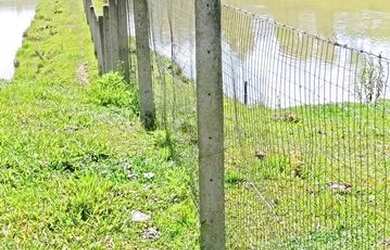 Imagem 5: Sítio de 3 hectares em Pouso Redondo, casa de 140 m2 em alvenaria, a 7km do centro