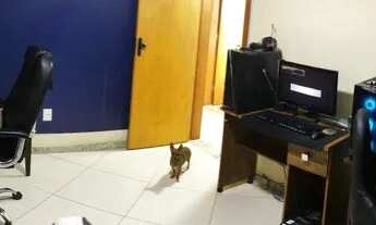 Imagem 7: Apartamento de 125 metros com 3 quartos no Cabral