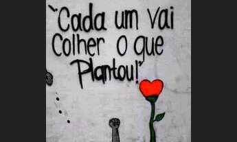 Imagem 3: Alugo galpão em excelente localização ?