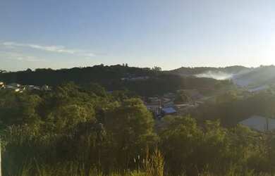 Imagem 4: Vendo terreno campo Magro boa vista 2 79900